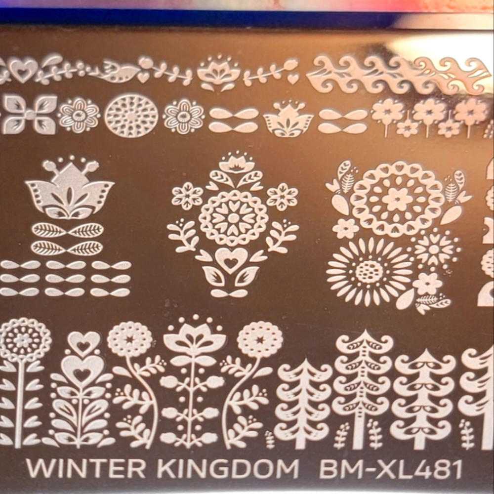 Maniology Winter Kingdom BM-XL481 stamping plate RARE HTF